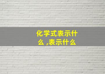 化学式表示什么 ,表示什么